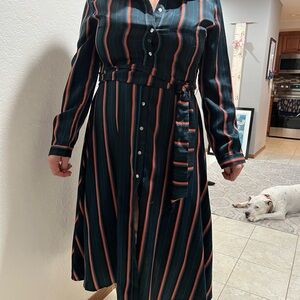 Striped Button-Up Dress